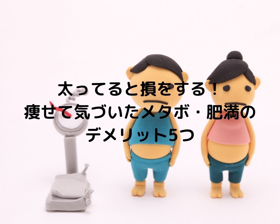 太ってると損をする！痩せて気づいたメタボ・肥満のデメリット5つ｜理学療法士しーたすの健康寿命延伸ブログ