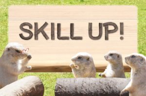 skill up
