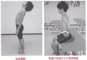 腰椎伸展運動と骨盤前後傾運動
