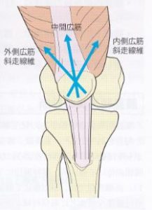 膝蓋骨の動く方向