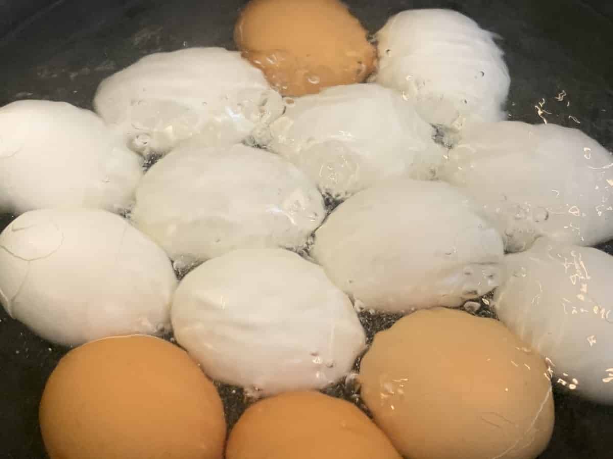 卵がタンパク質摂取に有利